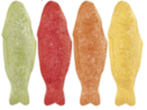 PASTEL FISH ON 3.25K